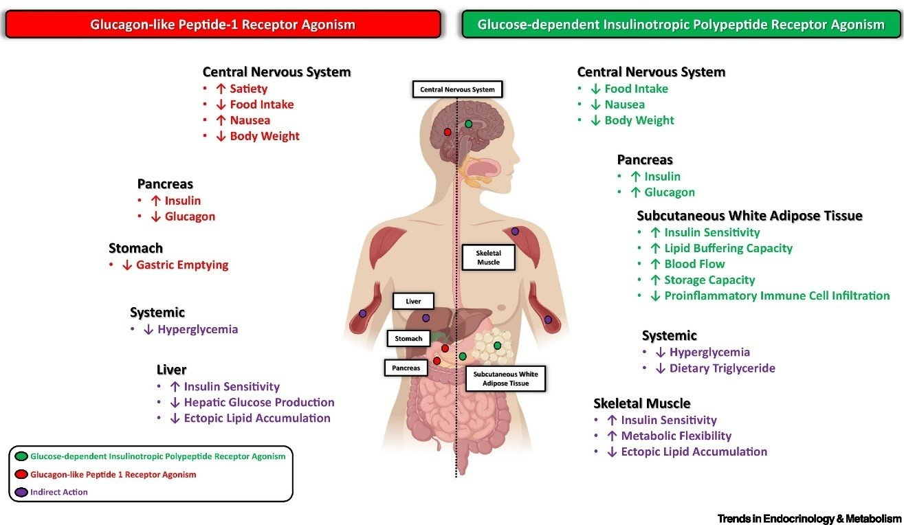 Peptide Calculator Free Accurate Tool for Dosage Reconstitution Peptide Calculator Free Accurate Tool for Dosage Reconstitution