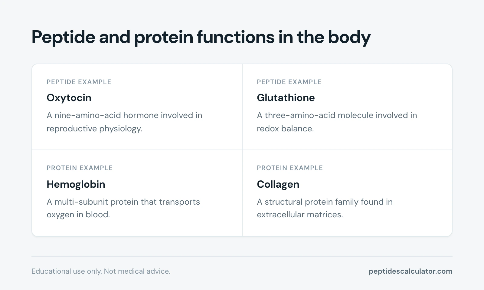 4 cards, Peptide and protein functions in the body