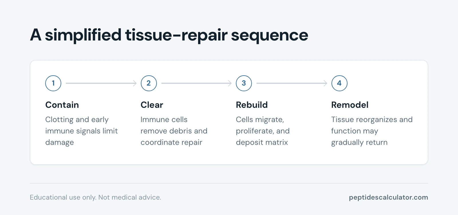 4-step process diagram, A simplified tissue-repair sequence