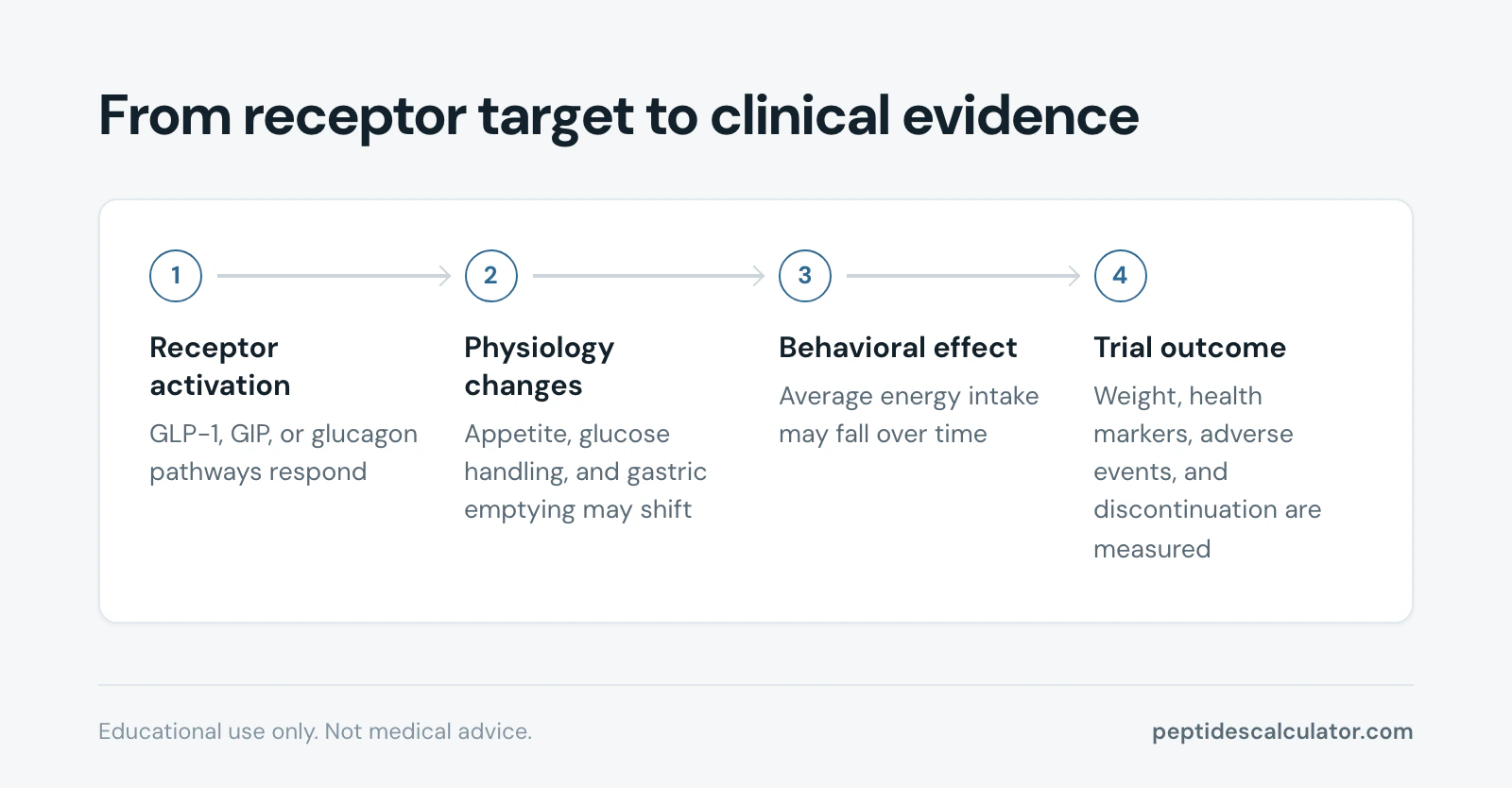 4-step process diagram, From receptor target to clinical evidence